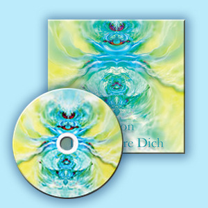 дискс коробкой 2